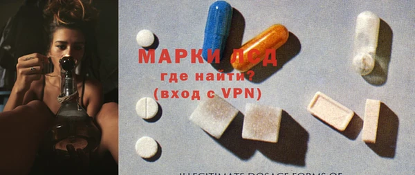 гашик Алексин