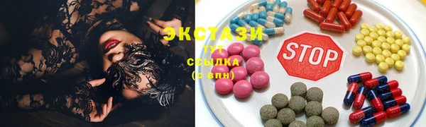 гашик Алексин