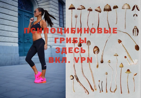 СК Алексеевка