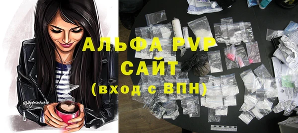 гашик Алексин