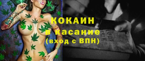 гашик Алексин